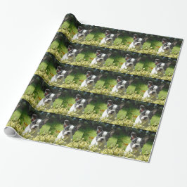 Schwarz-Weiß-Bull-Hunde-Welpe Geschenkpapier