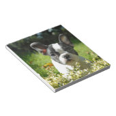 Schwarz-Weiß-Bull-Hunde-Welpe Notizblock (angewinkelt)