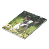 Schwarz-Weiß-Bull-Hunde-Welpe Notizblock (Rotiert)