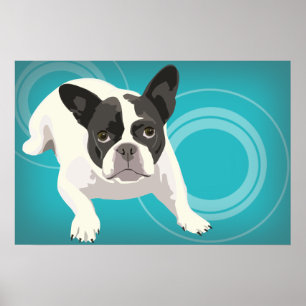 Schwarz-Weiß-Bulldogge auf blauem Hintergrund Poster