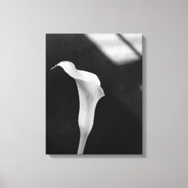 Schwarz-Weiß-Calla-Lily Leinwanddruck