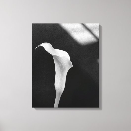 Schwarz-Weiß-Calla-Lily Leinwanddruck (Vorderseite)