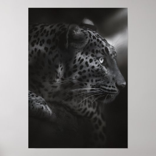 Schwarz-Weiß-Canva Poster (Vorne)