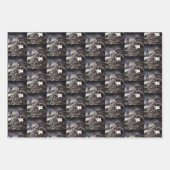 Schwarz-weiß Cat Gargoyle Geschenkpapier Set (Vorderseite 3)
