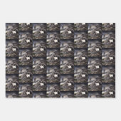 Schwarz-weiß Cat Gargoyle Geschenkpapier Set (Vorderseite)