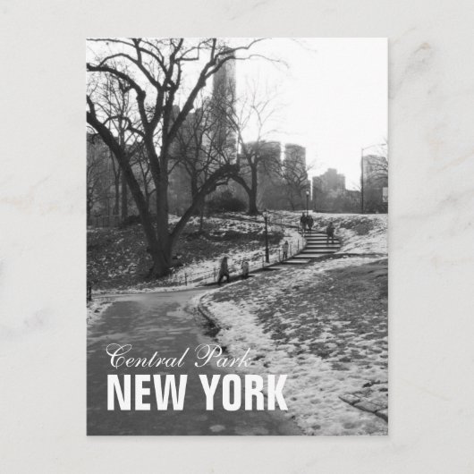 Schwarz-weiß Central Park New York Postkarte (Vorderseite)