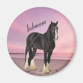 Schwarz-Weiß-Clydesdale am Strand bei Sunset Magnet (Vorne)