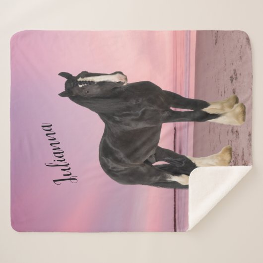 Schwarz-Weiß-Clydesdale am Strand bei Sunset Sherpadecke (Vorderseite (Horizontal))