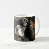 Schwarz-weiß-Cocker-Spaniel-Foto Kaffeetasse (VorderseiteRechts)