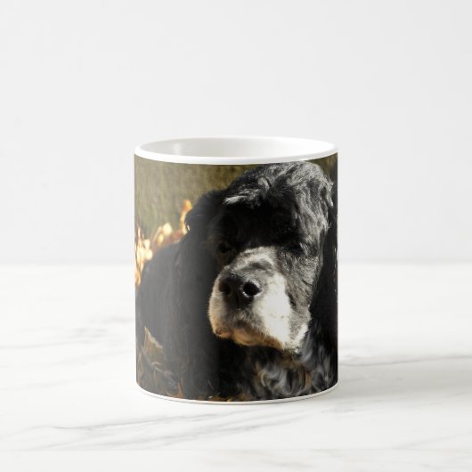 Schwarz-weiß-Cocker-Spaniel-Foto Kaffeetasse (Mittel)