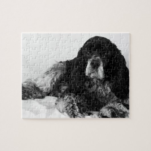Schwarz-weiß-Cocker-Spaniel-Foto Puzzle (Horizontal)