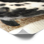 Schwarz-Weiß-Cocker-Spanisch-Poster Poster (Ecke)