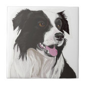 Schwarz-Weiß-Collibraun-Augen Fliese (Vorderseite)