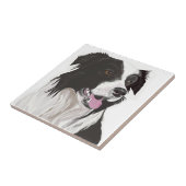 Schwarz-Weiß-Collibraun-Augen Fliese (Seite)