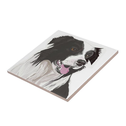 Schwarz-Weiß-Collibraun-Augen Fliese (Seite)