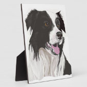 Schwarz-Weiß-Collibraun-Augen Fotoplatte (Seite)