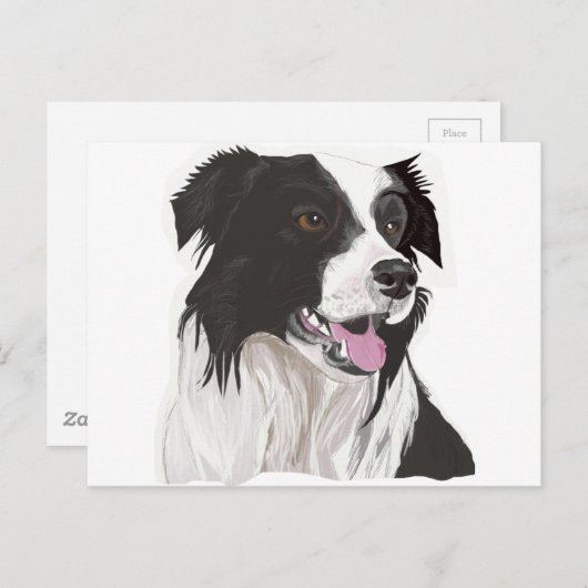 Schwarz-Weiß-Collibraun-Augen Postkarte (Vorne/Hinten)