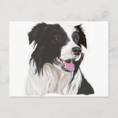 Schwarz-Weiß-Collibraun-Augen Postkarte (Vorderseite)