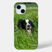 Schwarz-Weiß-Collie im Gras Case-Mate iPhone Hülle (Rückseite)