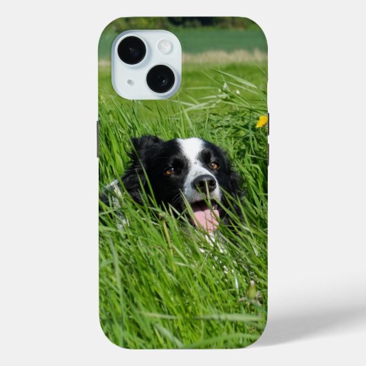Schwarz-Weiß-Collie im Gras Case-Mate iPhone Hülle (Rückseite)