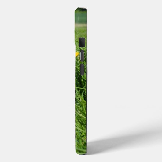 Schwarz-Weiß-Collie im Gras Case-Mate iPhone Hülle (Rückseite / Links)