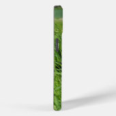 Schwarz-Weiß-Collie im Gras Case-Mate iPhone Hülle (Rückseite / Rechts)