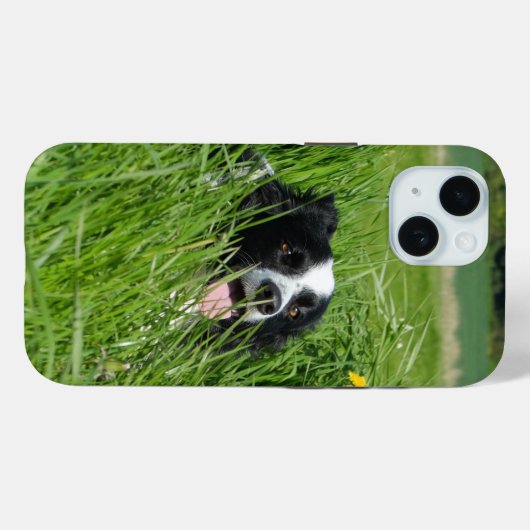 Schwarz-Weiß-Collie im Gras Case-Mate iPhone Hülle (Rückseite (Horizontal))
