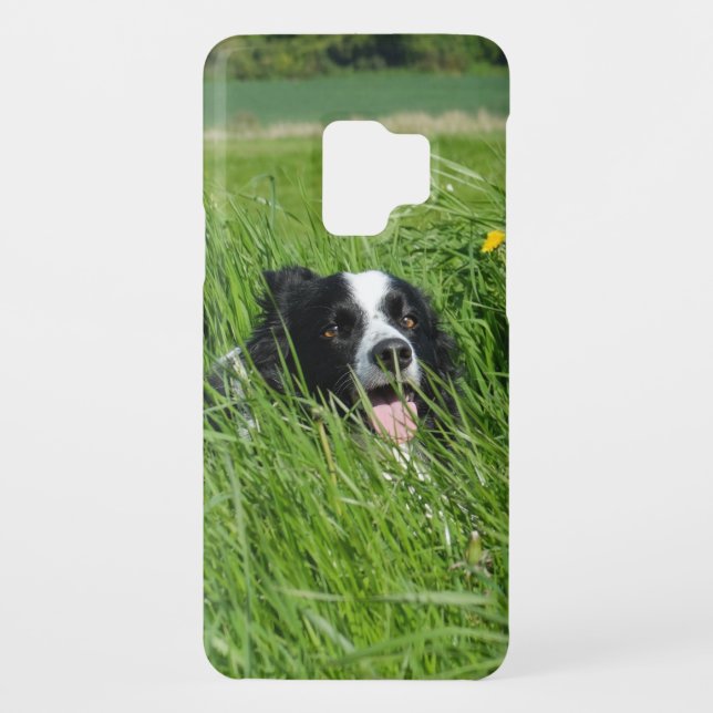 Schwarz-Weiß-Collie im Gras Case-Mate Samsung Galaxy Hülle (Rückseite)