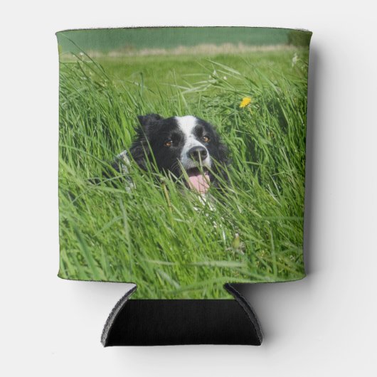 Schwarz-Weiß-Collie im Gras Dosenkühler (Vorderseite)