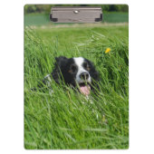 Schwarz-Weiß-Collie im Gras Klemmbrett (Vorderseite)