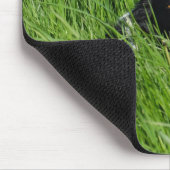 Schwarz-Weiß-Collie im Gras Mousepad (Ecke)