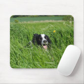 Schwarz-Weiß-Collie im Gras Mousepad (Mit Mouse)