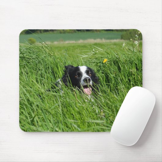 Schwarz-Weiß-Collie im Gras Mousepad (Mit Mouse)