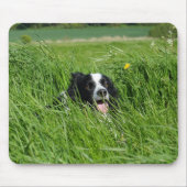 Schwarz-Weiß-Collie im Gras Mousepad (Vorne)