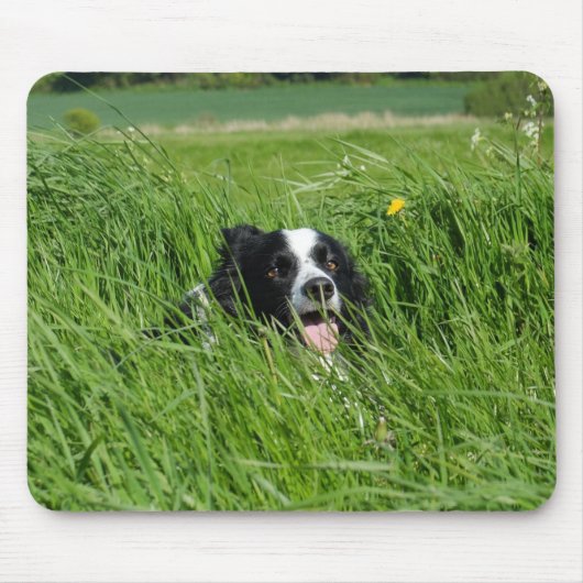 Schwarz-Weiß-Collie im Gras Mousepad (Vorne)