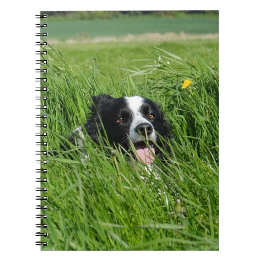 Schwarz-Weiß-Collie im Gras Notizblock (Vorderseite)