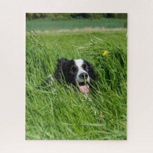 Schwarz-Weiß-Collie im Gras Puzzle