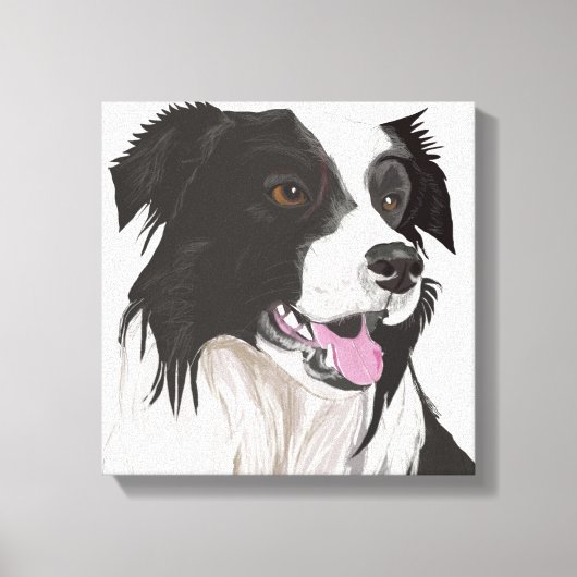 Schwarz-Weiß-Collie mit Braunaugen-Portrait Leinwanddruck (Vorderseite)