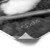 Schwarz-Weiß-Coon-Katze-Portrait-Poster Poster (Ecke)