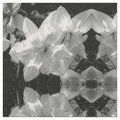 Schwarz-Weiß-Daffodin Stoff (Nahaufnahme)