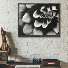 Schwarz-Weiß-Dahlia-Blossom Poster