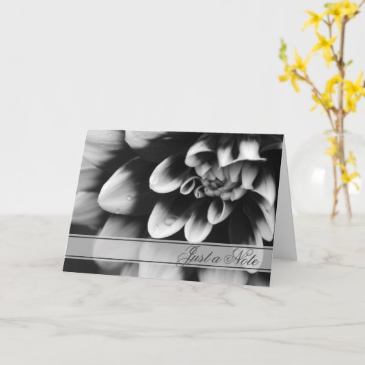 Schwarz-Weiß-Dahlia nur ein Hinweis Karte (Gelbe Blume)
