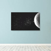 Schwarz-Weiß-Darstellung der Düngung Leinwanddruck (Insitu (Holzboden))