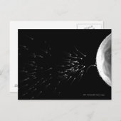 Schwarz-Weiß-Darstellung der Düngung Postkarte (Vorne/Hinten)