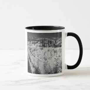 Schwarz-Weiß der Weinberge, Montepulciano, Italien Tasse