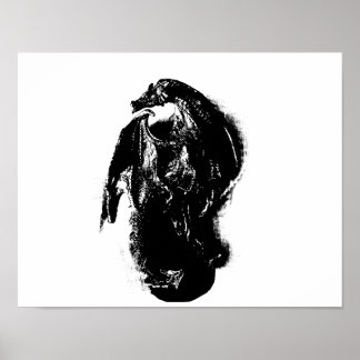 Schwarz-Weiß-Drache Poster