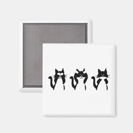 Schwarz-weiß | Drei kluge Kätzchen Magnet (Vorderseite/Rückseite)