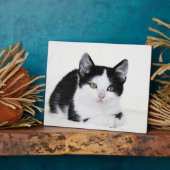 Schwarz-weiß durchdachte Kitten Foto Plaques Fotoplatte (Seite)