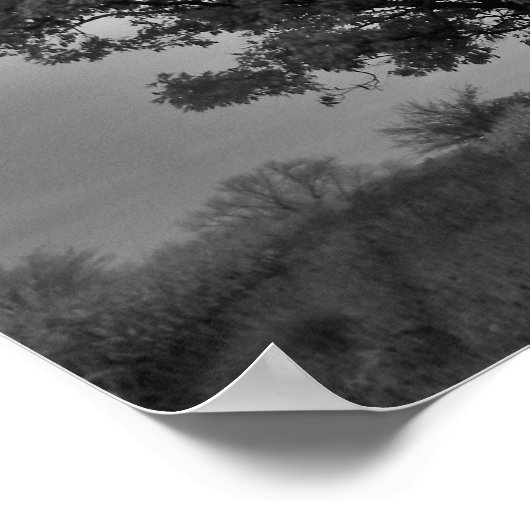 Schwarz-Weiß-Eichenbaum-Poster drucken Poster (Ecke)