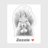 Schwarz-Weiß-Eichhörnchen Aufkleber (Blatt)